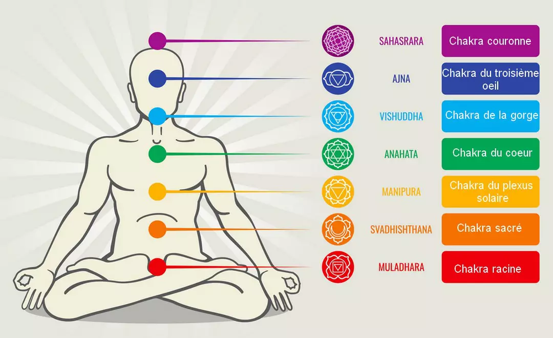 chakras.webp